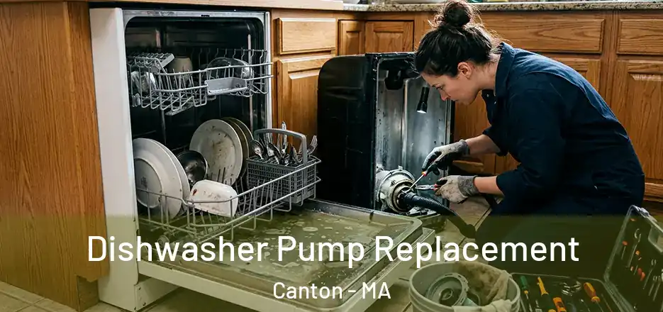  Dishwasher Pump Replacement Canton - MA
