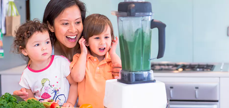 Juicer and Mixer Blender Repair in Canton 